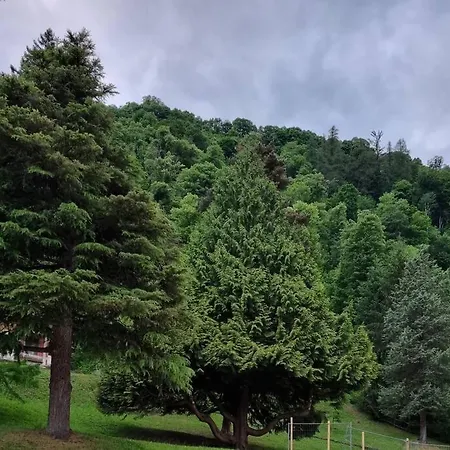 Apartamento Superbe Studio En Plein Coeur De Luchon *